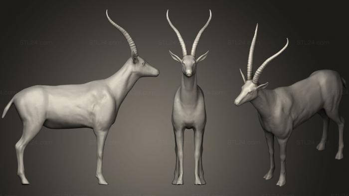 Статуэтки животных (Газель, STKJ_0994) 3D модель для ЧПУ станка